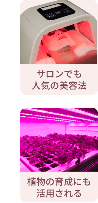 サロンでも人気の美容法/植物の育成にも活用される