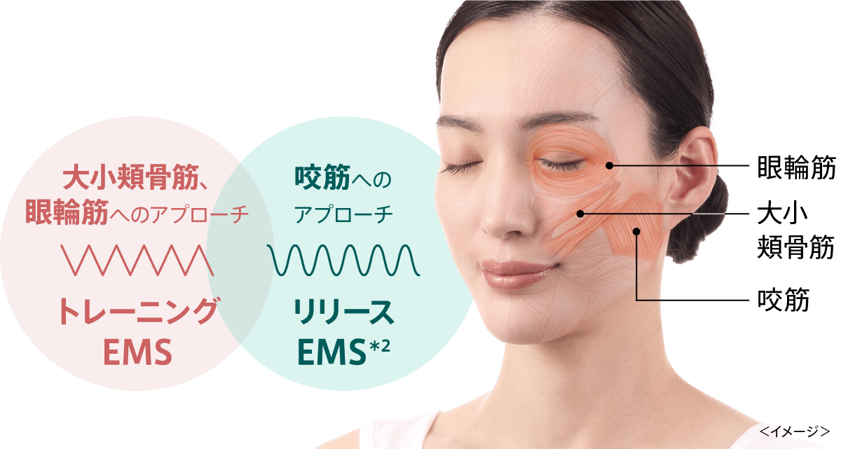 トレーニングEMS/リリースEMS