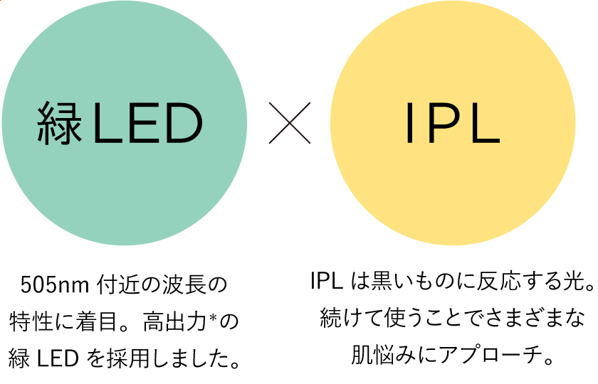 LED×IPL