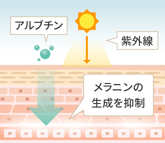 シミ・そばかすを防ぐ2