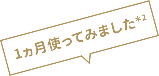 1カ月使ってみました。