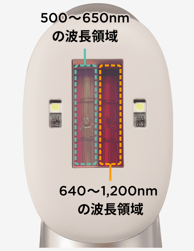波長領域