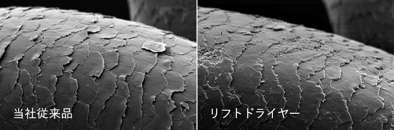 キューティクルイメージ