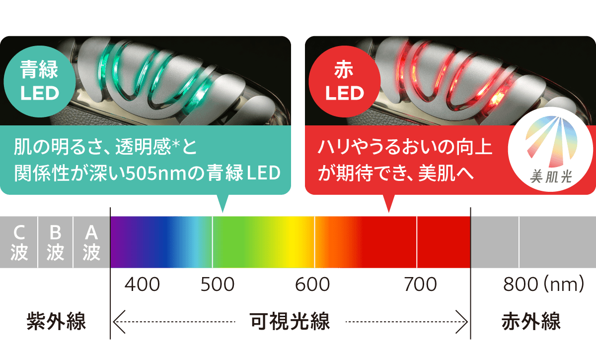 肌の明るさ、透明感と関係性が深い505nmの青緑LED / ハリやうるおいの向上が期待でき、美肌へ（赤LED）
