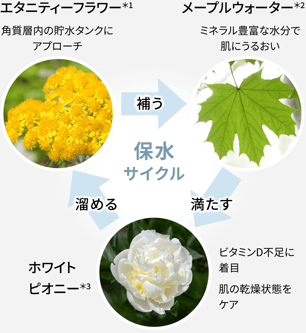 保水サイクル