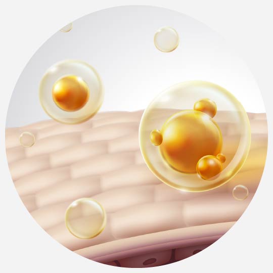 エラスチン