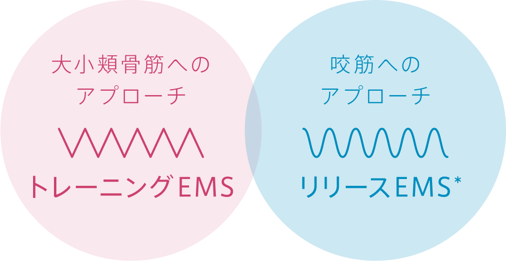 大小頬骨筋へのアプローチ トレーニングEMS 咬筋へのアプローチ リリースEMS