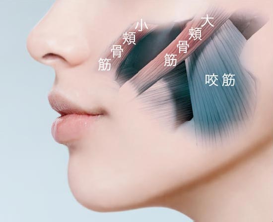 美容/健康 美容機器 メディリフト プラス セラムセット | YA-MAN TOKYO JAPAN | ヤーマン 