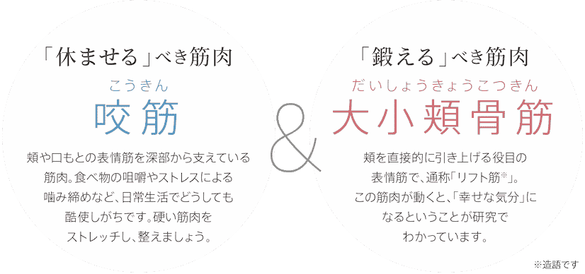 「休ませる」べき筋肉 咬筋「鍛える」べき筋肉 大小頬骨筋