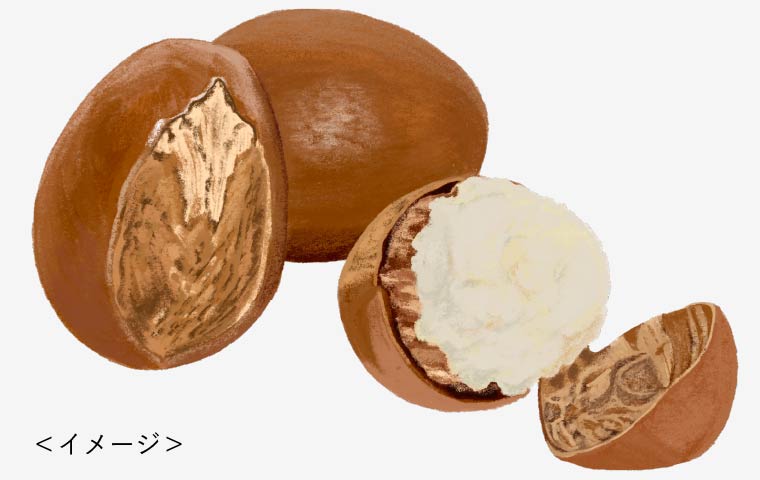 メルティロックバター