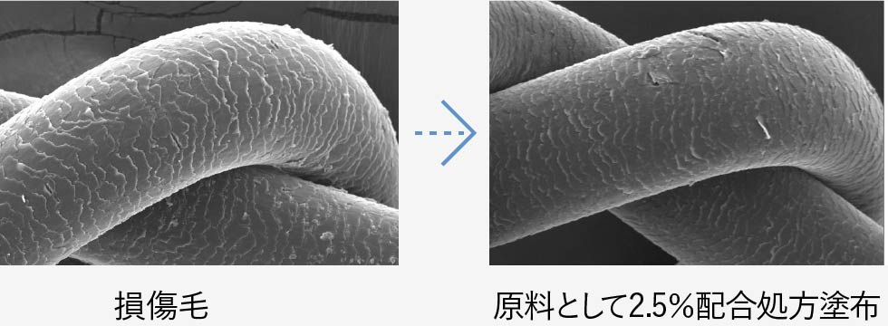 γ-ドコサラクトン