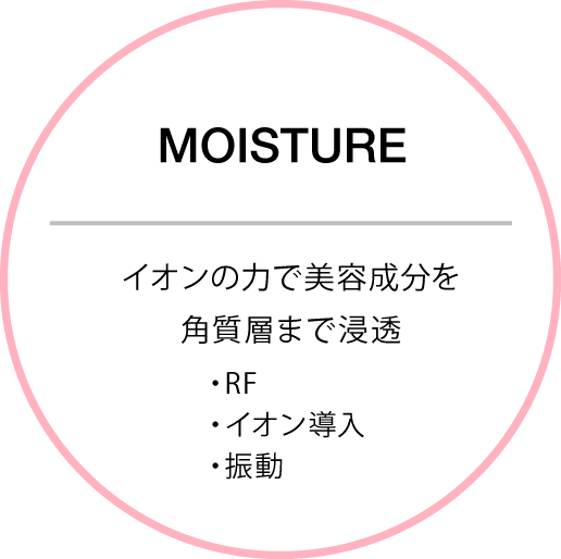 MOISTURE イオンの力で美容成分を角質層まで浸透