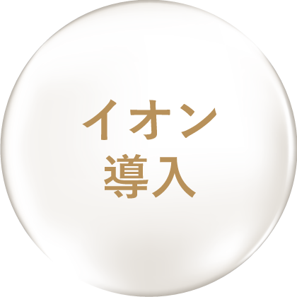 イオン導入