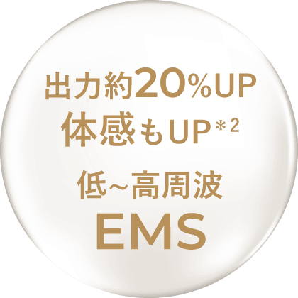 1〜3MHzの層でアプローチ 低~高周波EMS