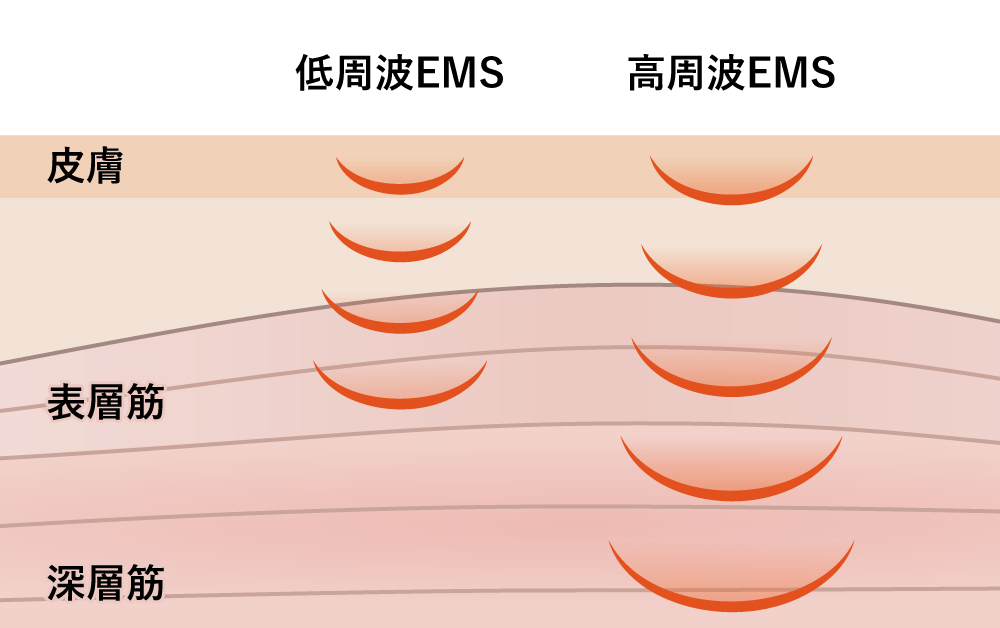 低周波~高周波で、表層から深層の筋肉までケアイメージ