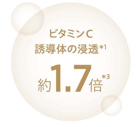 ビタミンC誘導体の浸透＊