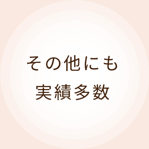 その他にも実績多数