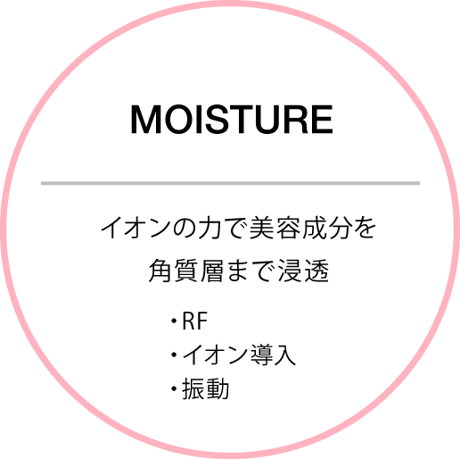 MOISTURE イオンの力で美容成分を角質層まで浸透