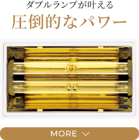 ダブルランプが叶える圧倒的なパワー