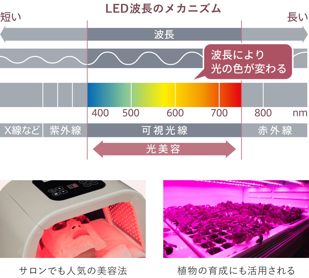 LED波長のメカニズム
