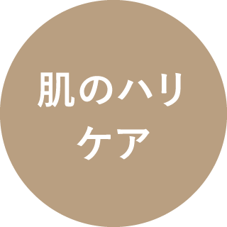 肌のハリケア