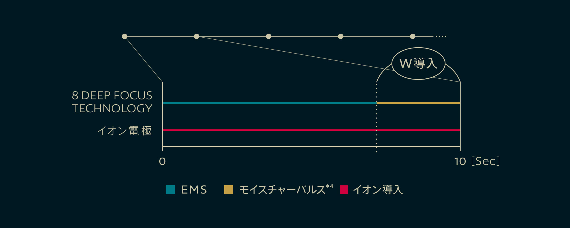 独〓のトリートメントプログラム