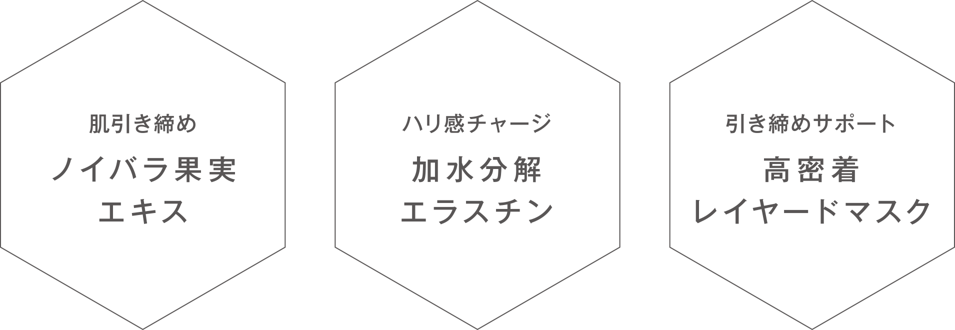 肌引き締め ノイバラ果実エキス ハリ感チャージ 加水分解エラスチン 引き締めサポート 高密着レイヤードマスク