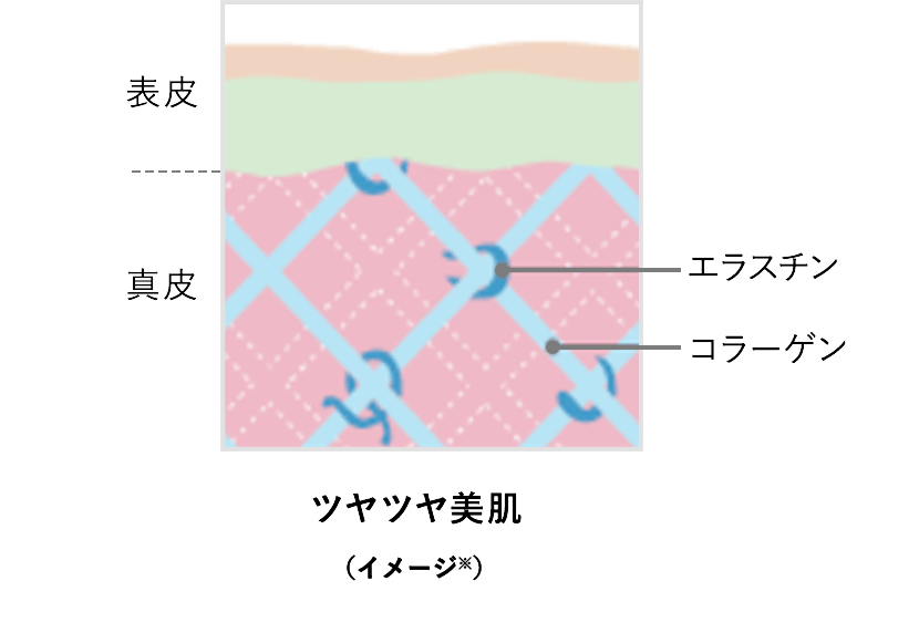 ツヤツヤ美肌 ハリがなくなり、小ジワができた肌