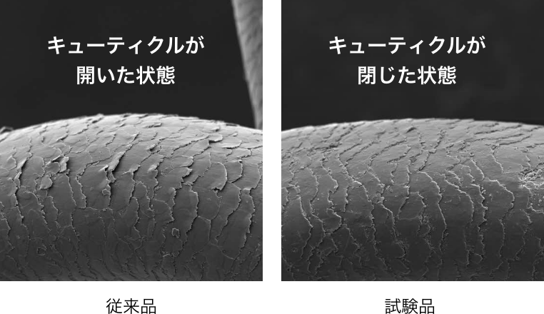 キューティクル拡大比較