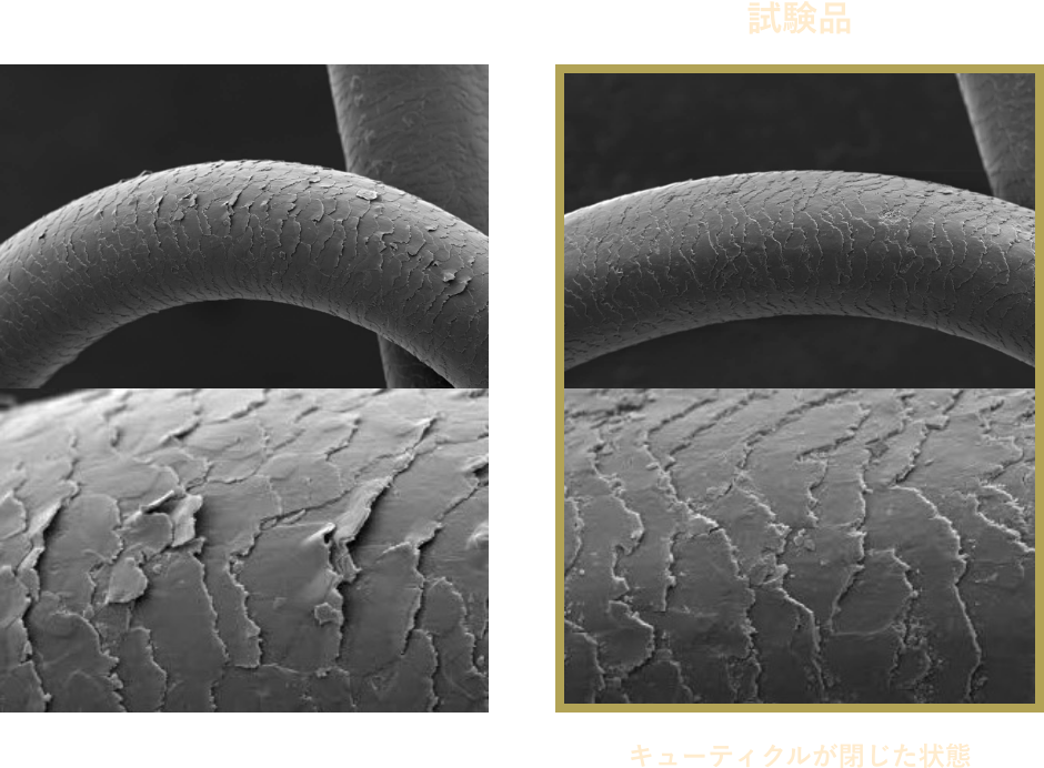 キューティクル比較