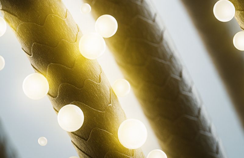 浸透面積率グラフ