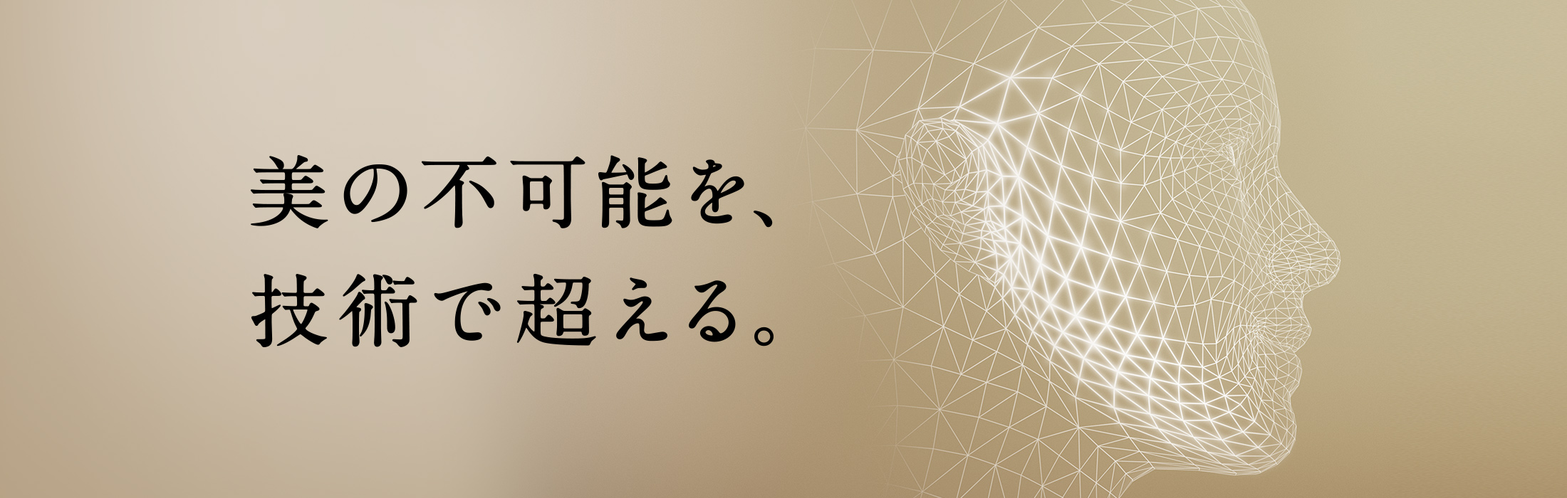 美の不可能を、技術で超える