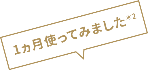 1カ月使ってみました。