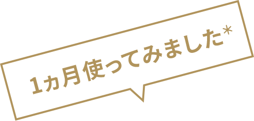 １カ月使ってみました。