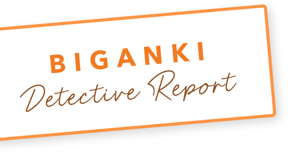 BIGANKI Detective Report