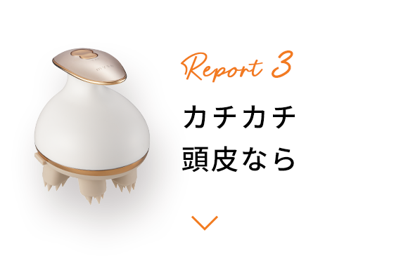 Report 3
